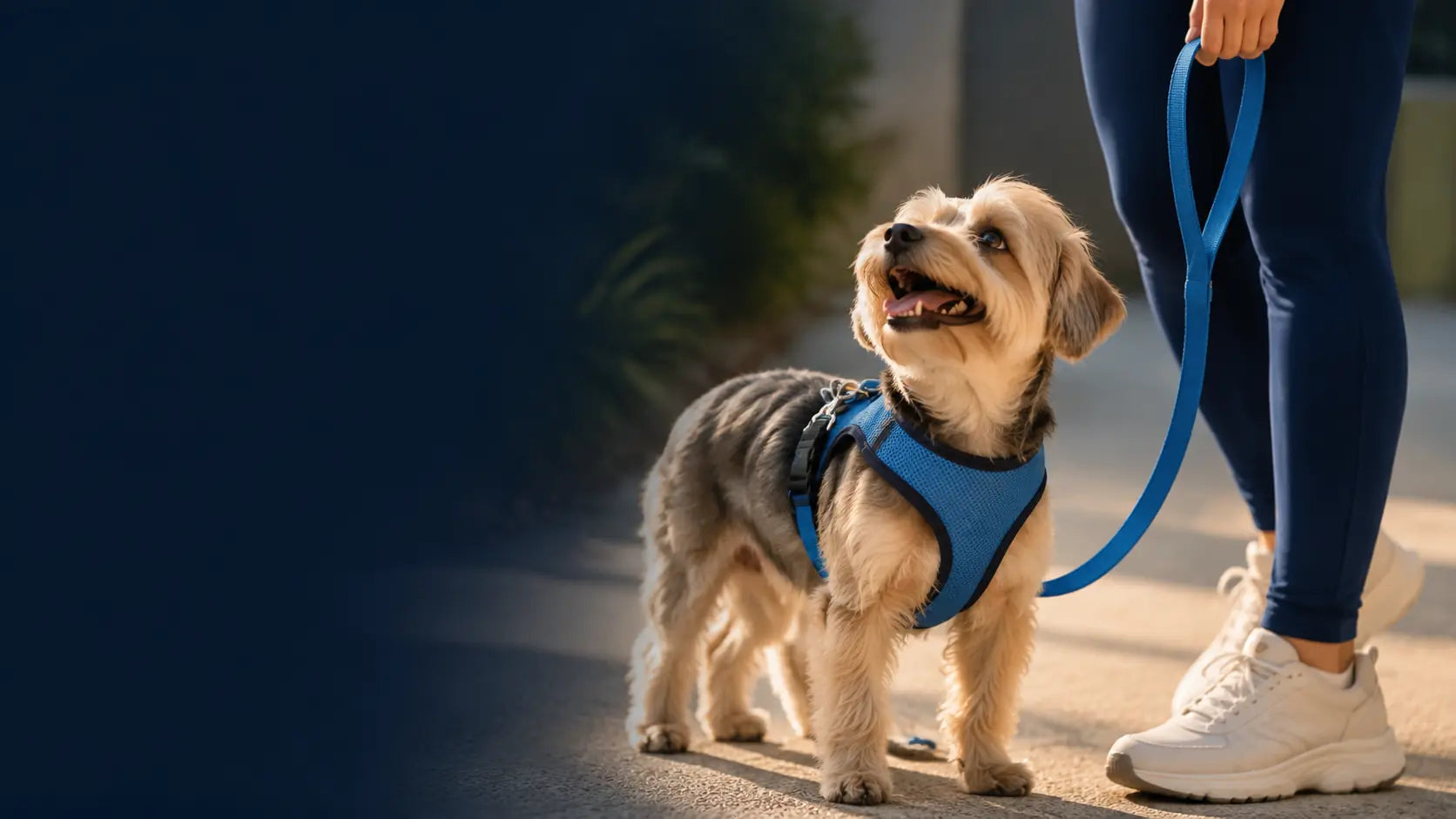 BETTER WALKS START HERE.