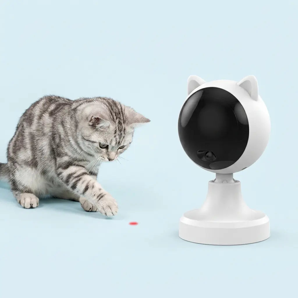 Furavora Smart Laser Teaser — All